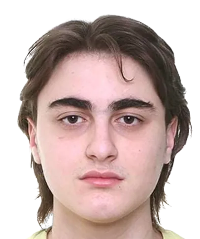 Raul Begishvili logo