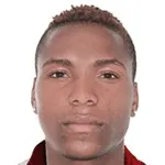 Roberto Villamarín logo