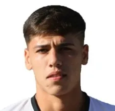 Pedro Ignacio Navarro Castillo logo