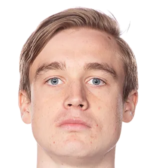 Nils Wallenberg logo