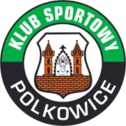 Gornik Polkowice