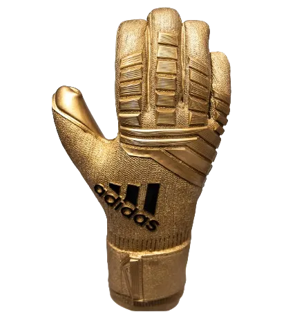 Golden Glove Award in FIFA World Cup logo