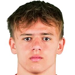 Mikkel Damsgaard photo