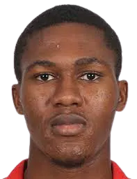 Ibrahima Diallo logo