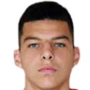 German Barkovskiy logo