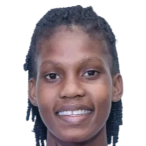 D. Pierre-Louis logo