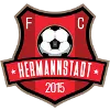 AFC Hermannstadt (W) logo