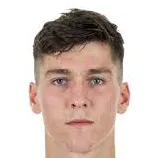 Dominic Volkmer logo