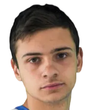 Dmitri Nekrashevich logo