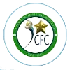 City FC logo