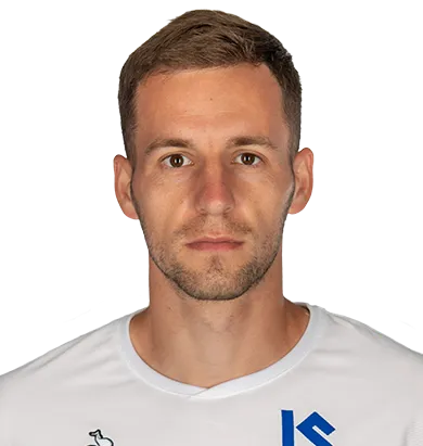 Nikola Boranijašević logo