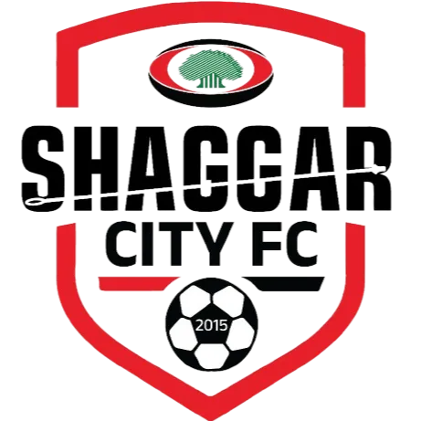 Sheger Ketema (w) logo