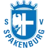 Spakenburg logo