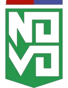 Novo Esporte Clube Ipatinga logo