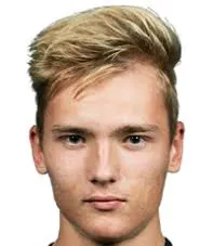 Nikita shershnev logo