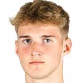 Henrijs Auseklis logo