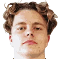 Sebastian Naerum Ekerhaugen logo