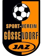 SV Gossendorf II logo