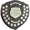 Maldivian Champion logo
