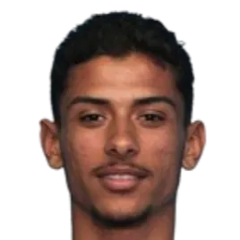 David José Lopes do Couto logo