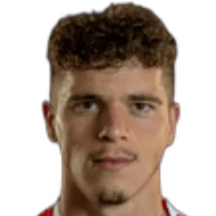 Pedro Silva Rosas portrait