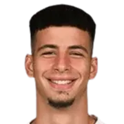 Nemanja Vidojevic logo