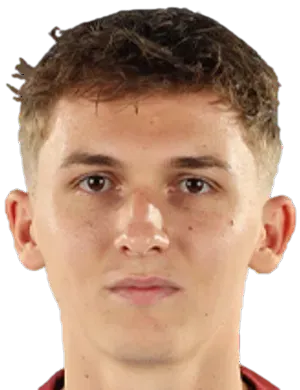 Catalin Vulturar logo