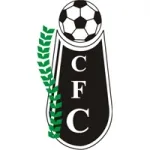 Concepcion FC logo