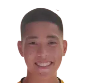 Nathaniel Shio Hong Wan logo