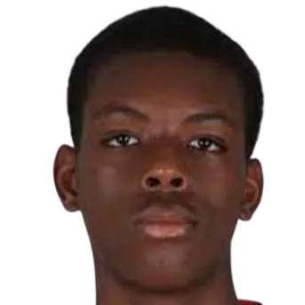 Yannis Nahounou logo