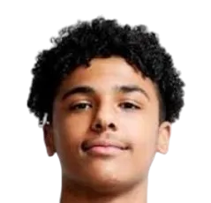 William johnsen logo