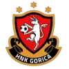 HNK Gorica W logo
