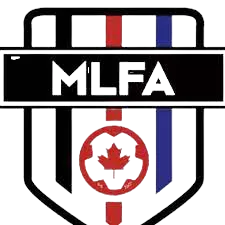 Standard Perpetual MLFA (w) logo