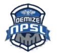 Demize NPSL logo