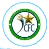 City FC Women logo