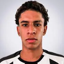 Paulo Victor de Almeida Barbosa logo