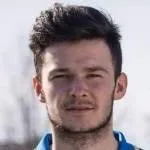 Flavius dumbravean logo