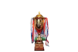 Vietnamese Cup Winner logo