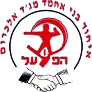 Ihud Bnei Mejdel Al Krum logo