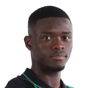 ibrahima fofana breze logo