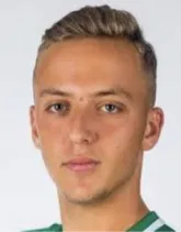 Stefan Petrovic logo