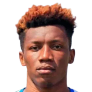 Anse Ngoubi Demba logo