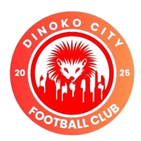 Dinoko City FC logo
