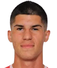 vladimir tomovic logo