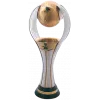 Vincitore Coppa Italia (Serie D)  logo