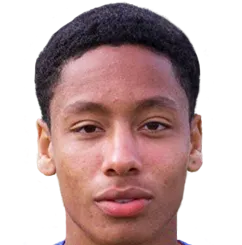 Sean Dominic Robertson logo