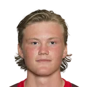 Halldor Stenevik logo