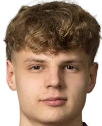 airimas pilipavicius logo