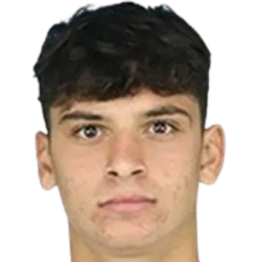 Hasan Yakub İlçin logo