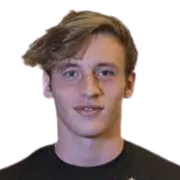 Federico Gomes Gerth logo